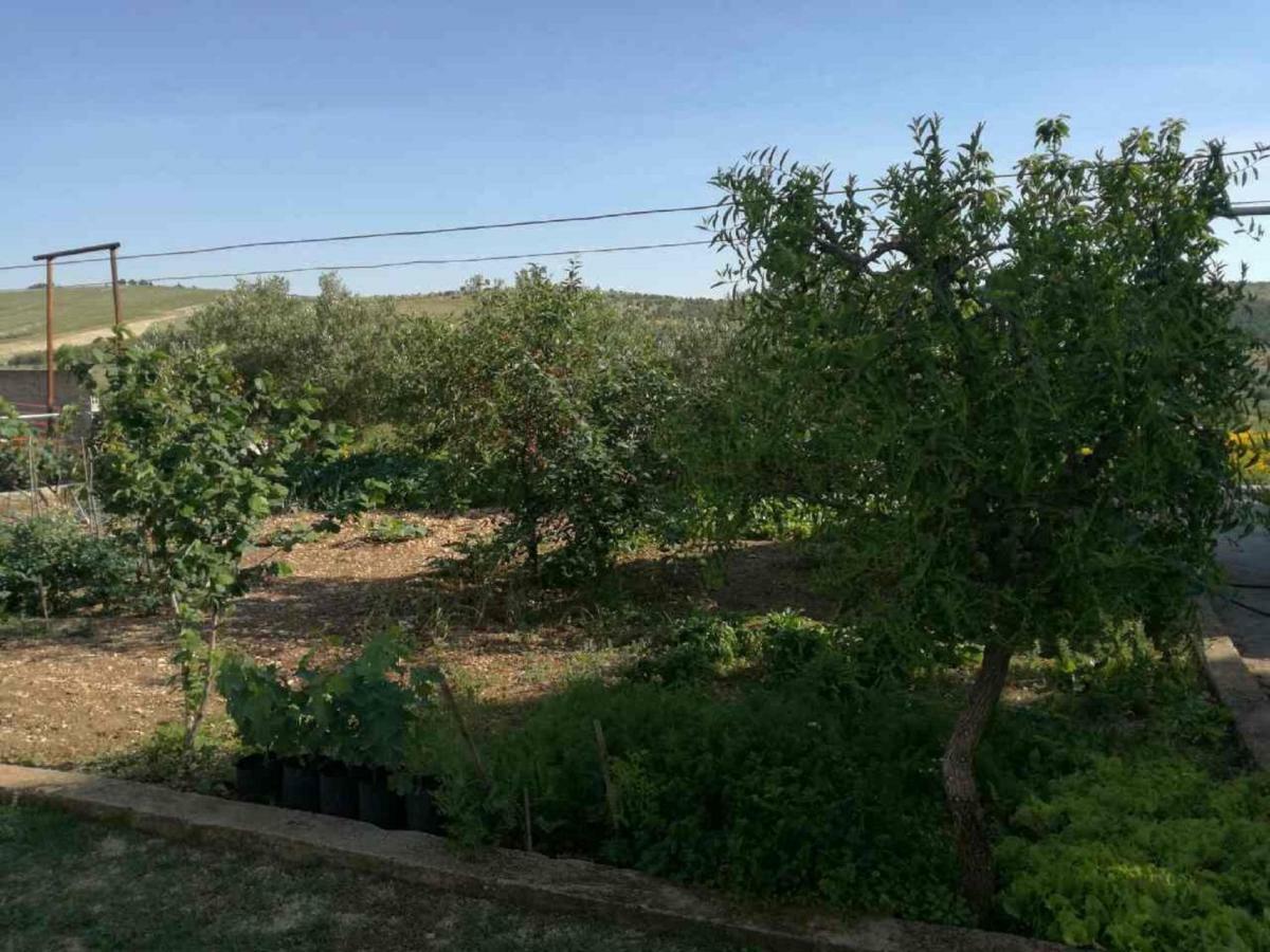 Jadrtovac Apartments Mira מראה חיצוני תמונה