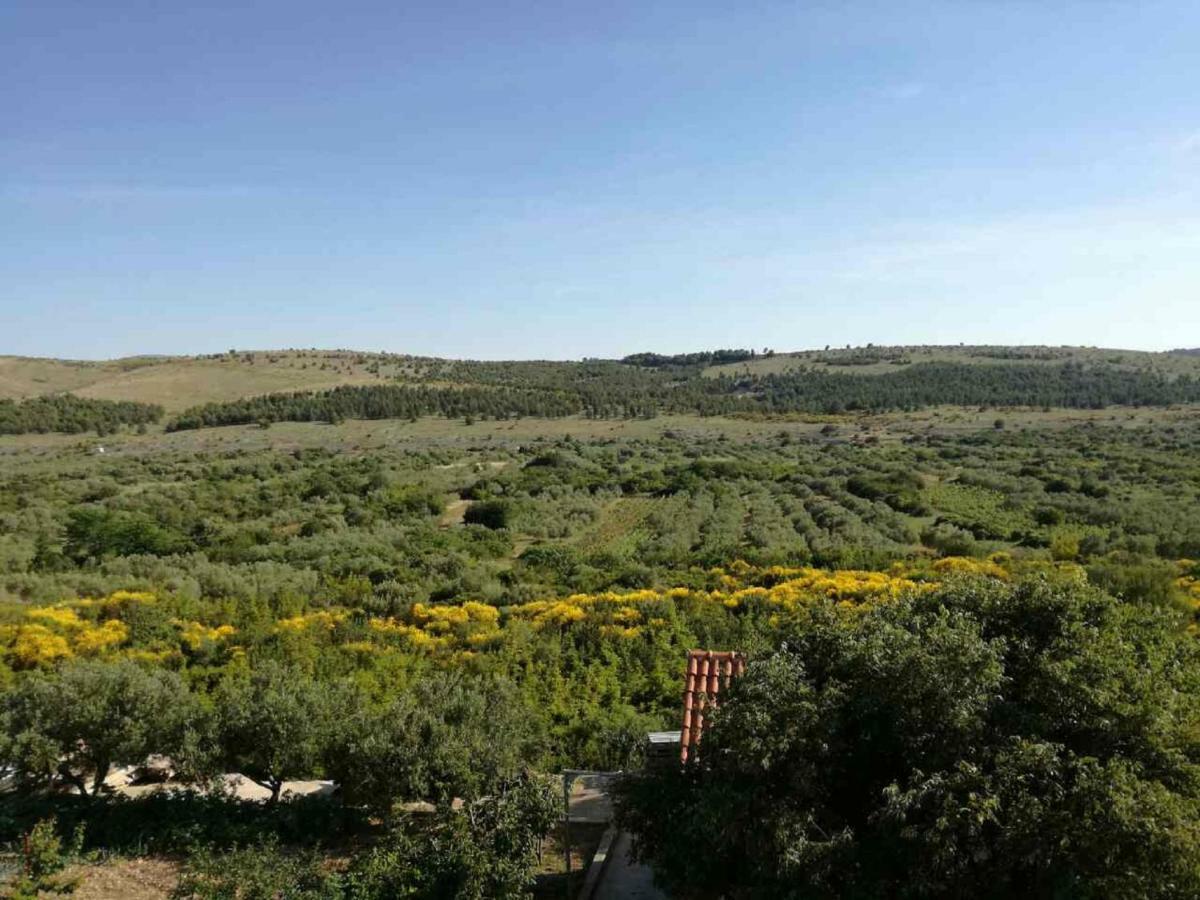 Jadrtovac Apartments Mira מראה חיצוני תמונה