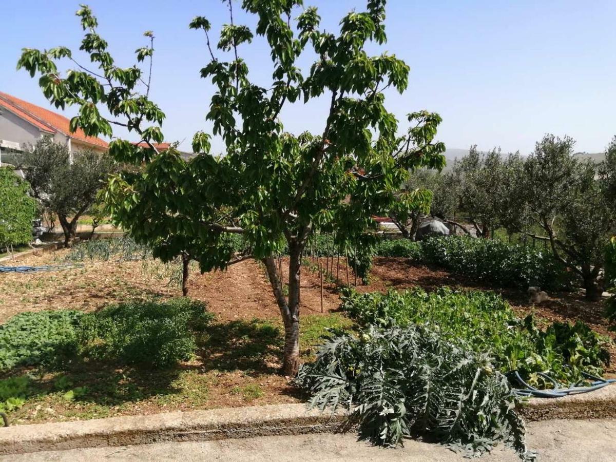Jadrtovac Apartments Mira מראה חיצוני תמונה